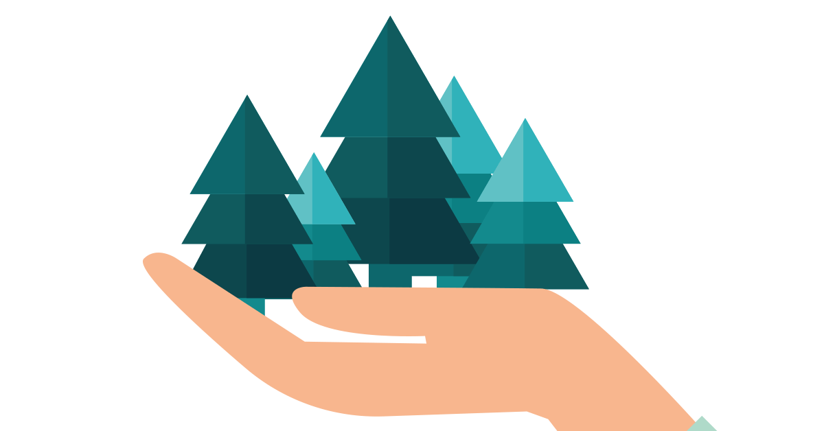 a person holding five pine trees in their hand
