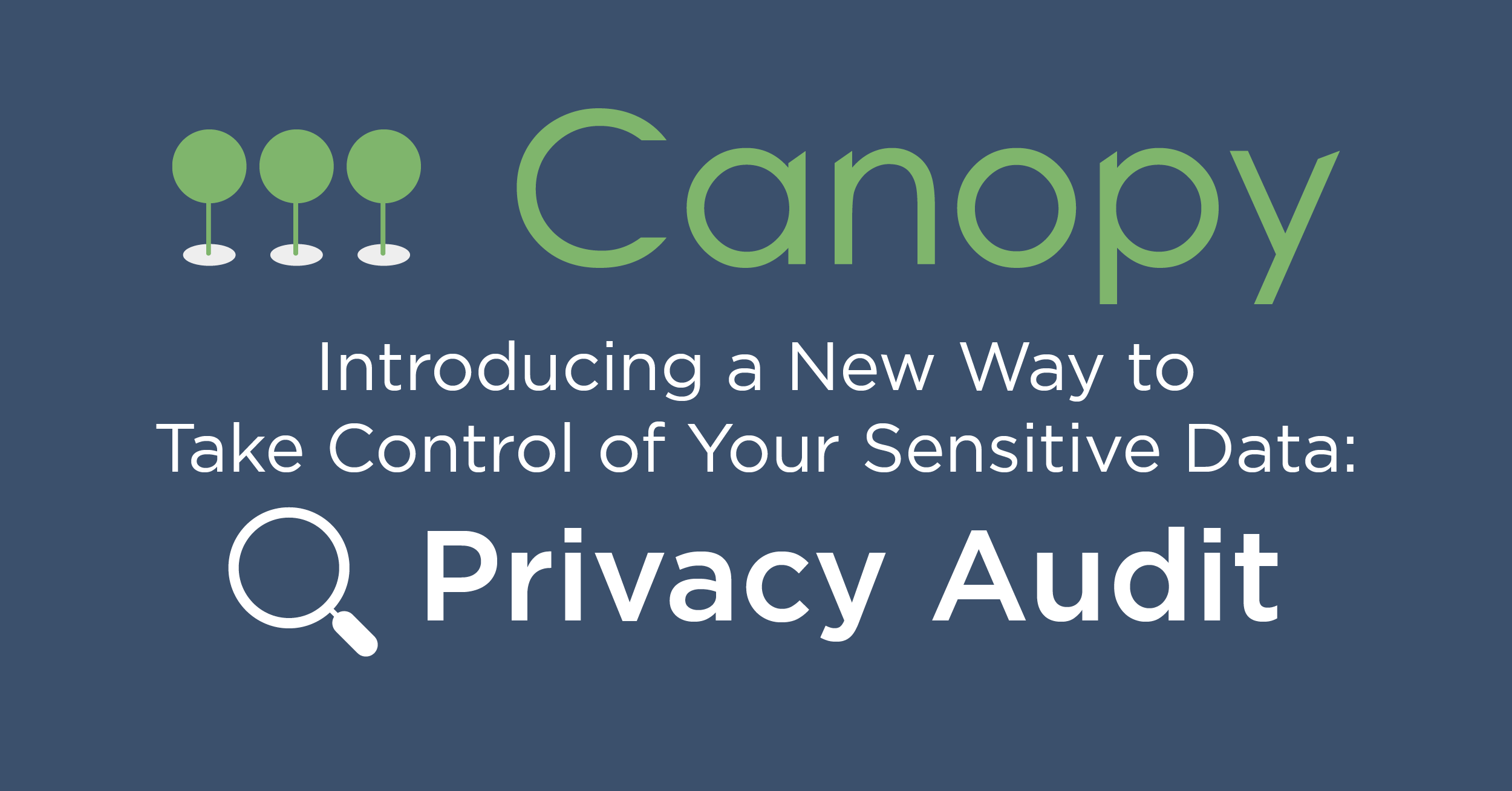 Graphic with Canopy logo and text: Introducing a New Way to Take Control of Your Sensitive Data, Privacy Audit