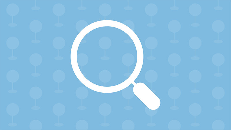 privacy audit software's magnifying glass icon on blue background with canopy geo marker step and repeat