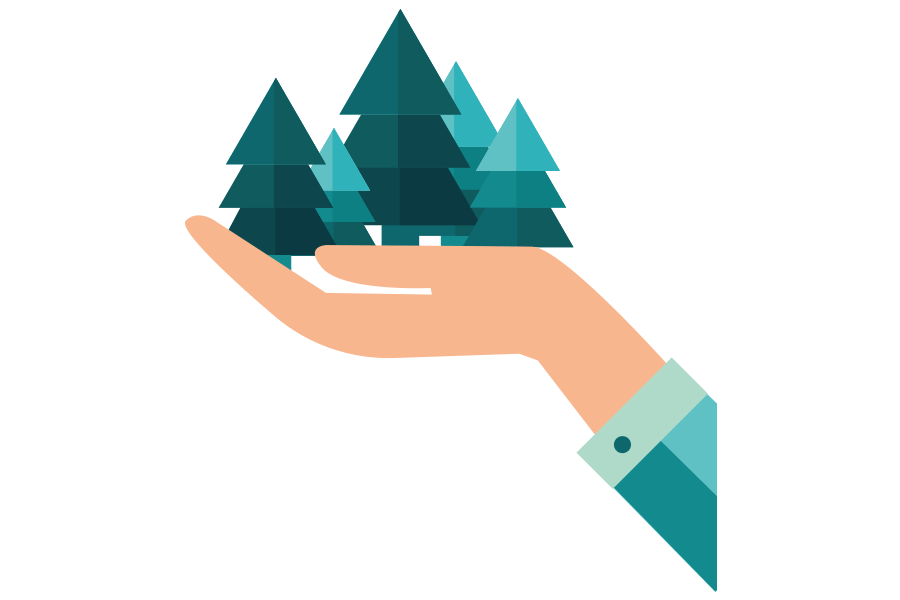 person's hand holding a forest of pine trees