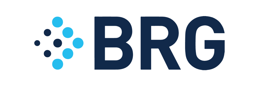 Berkeley Research Group logo