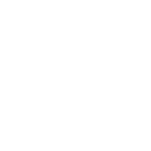 magnifying glass icon