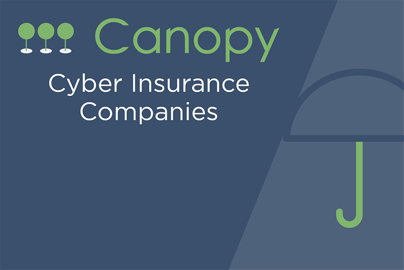 Canopy logo with Cyber Insurance Companies title text and umbrella icon